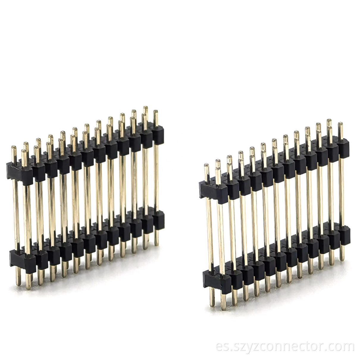 Principal-01 Main-01